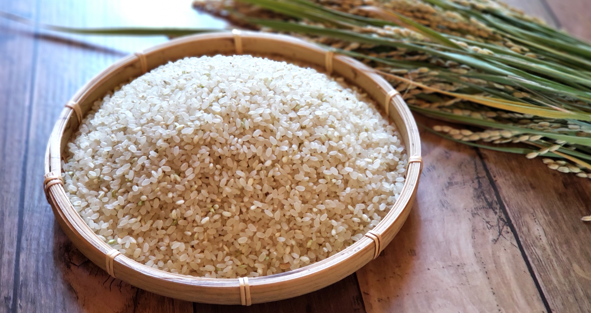 玄米　酵素玄米　ファスティング